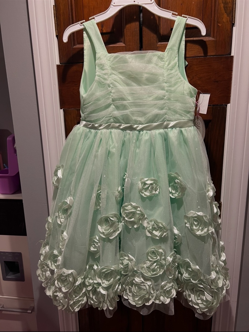 Girls Size 8 Mint Green Floral Tulle Party Dress